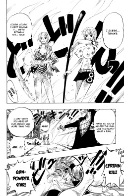 Totally Normal One Piece Pages IMHentai