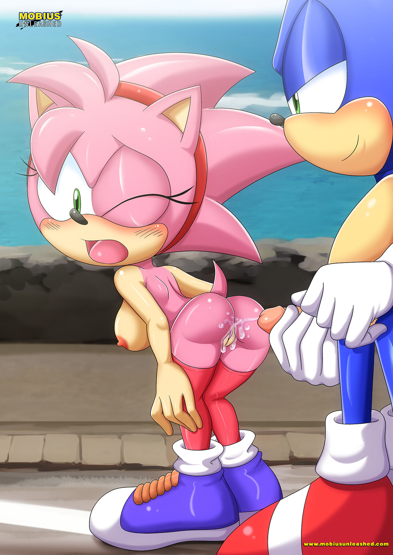 Mobius Unleashed Amy Rose Page 413 IMHentai