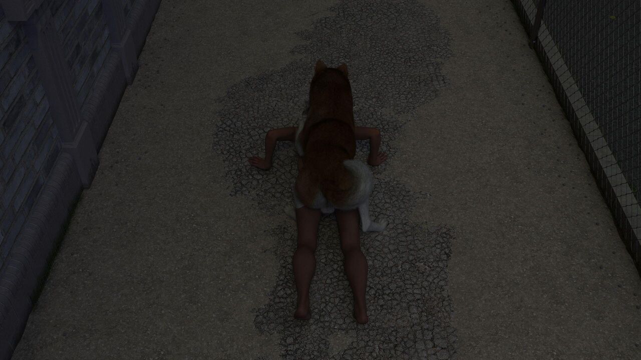 K9 District page 7 full
