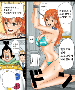 Nami-san Manga | 나미가 천룡인에 납치된 만화