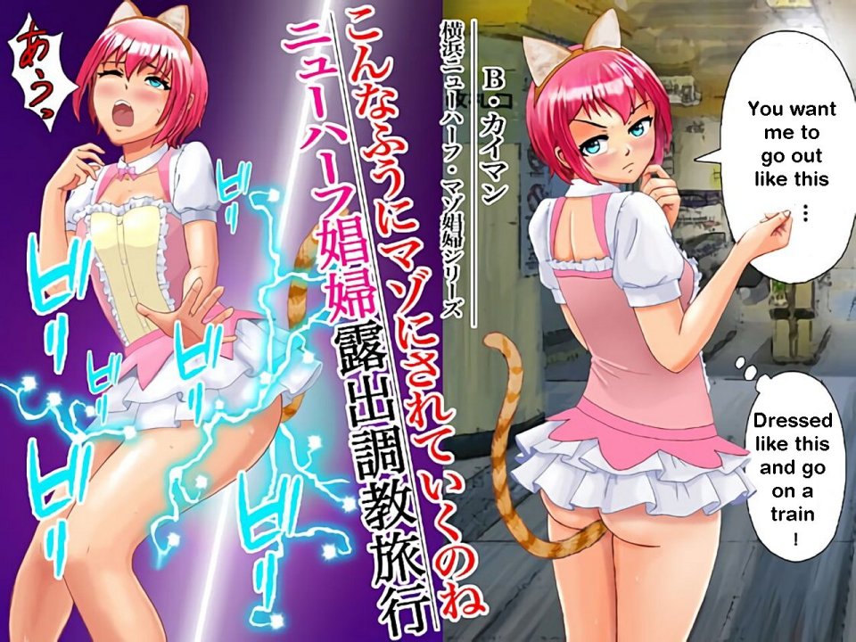 こんなふうにマゾにされていくのね。ニューハーフ娼婦露出調教旅行 | Transsexual prostitute exhibitionist training trip page 1 full