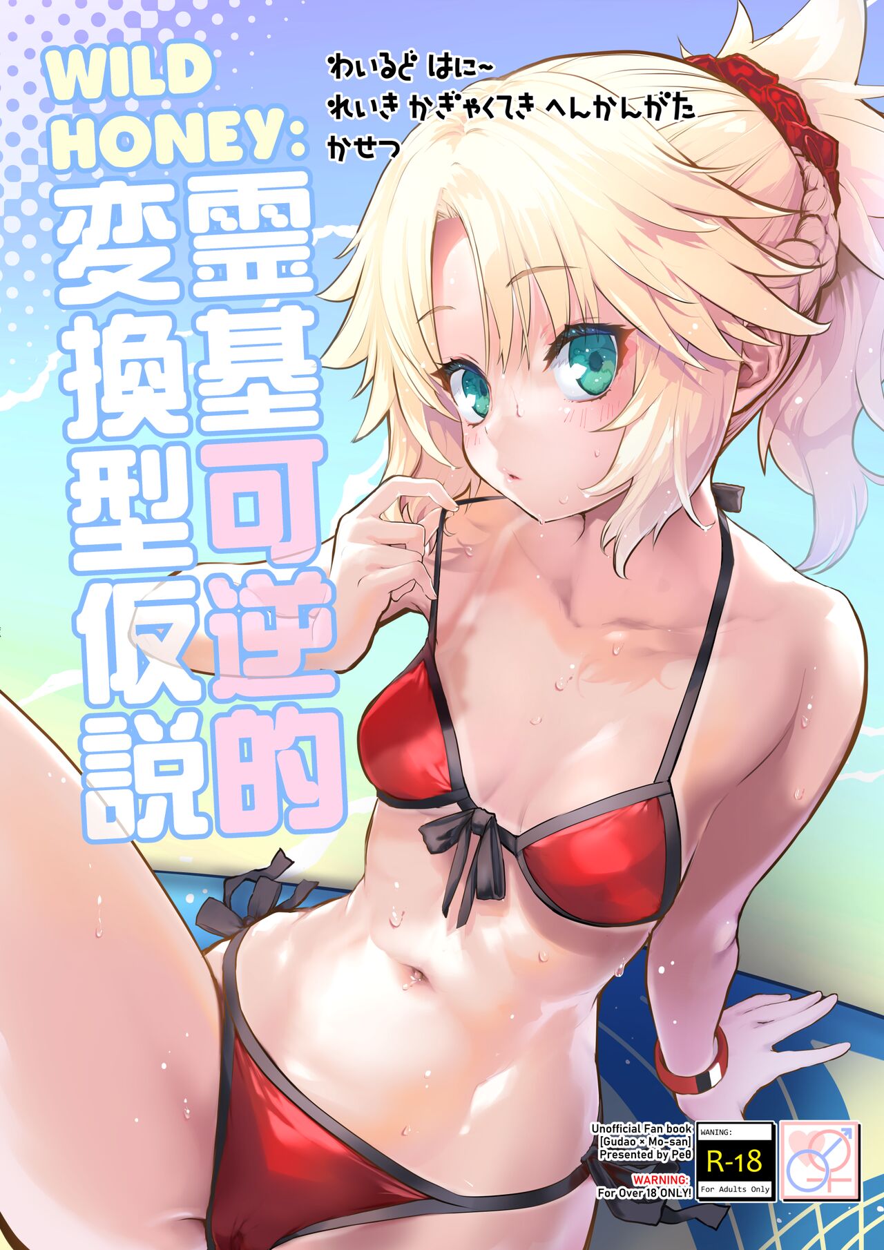 WILD HONEY Reiki Kagyakuteki Henkangata Kasetsu page 1 full