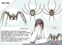 Insect research report No.02