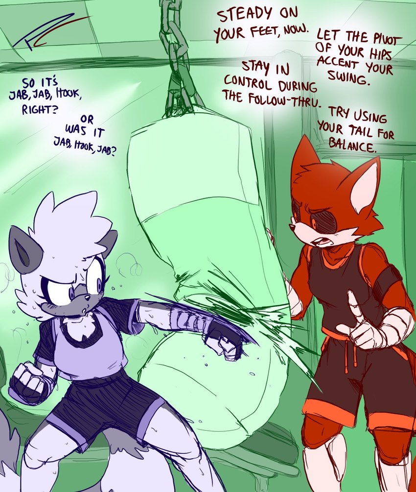 Tangle and Torque's Gym Set page 3 full