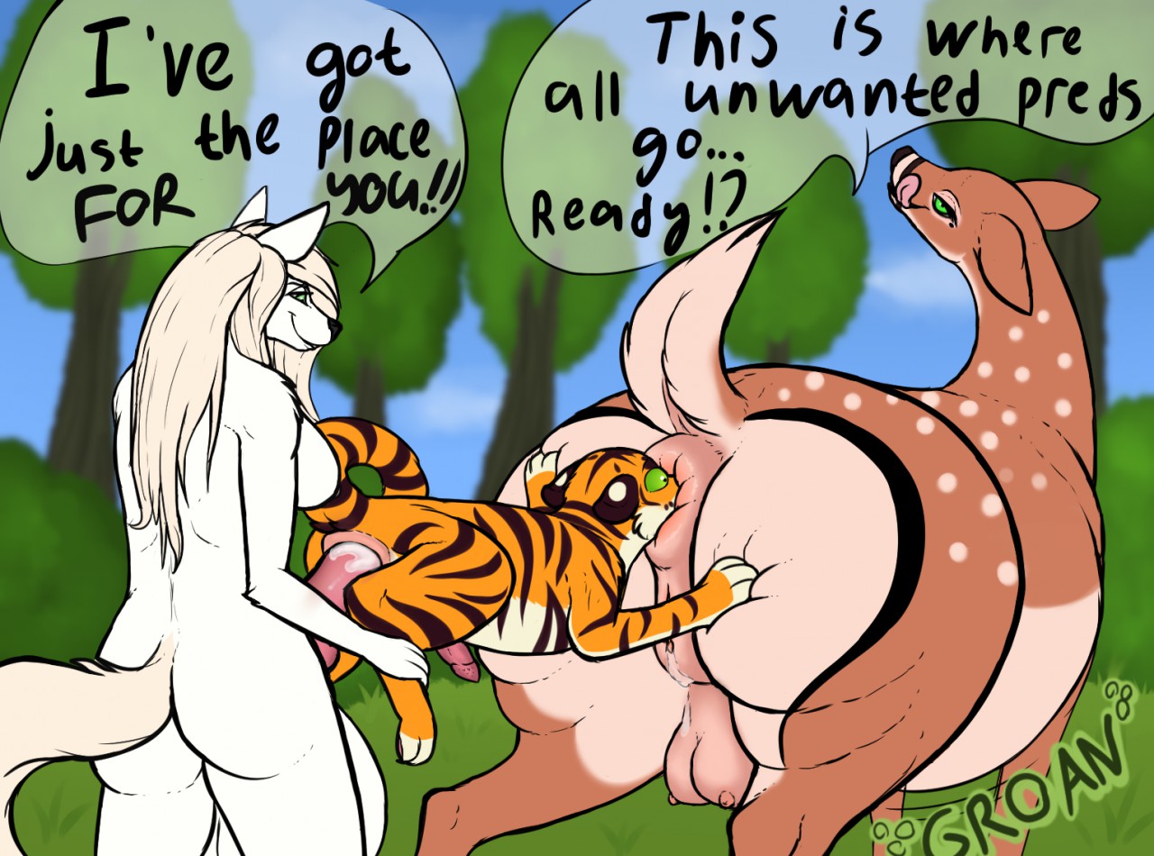 D.Doe and Sarafe page 2 full