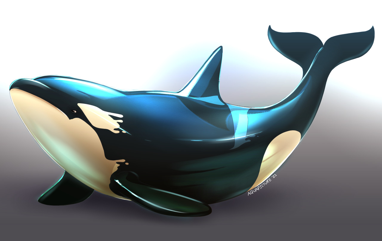 Dolphinproject page 10 full