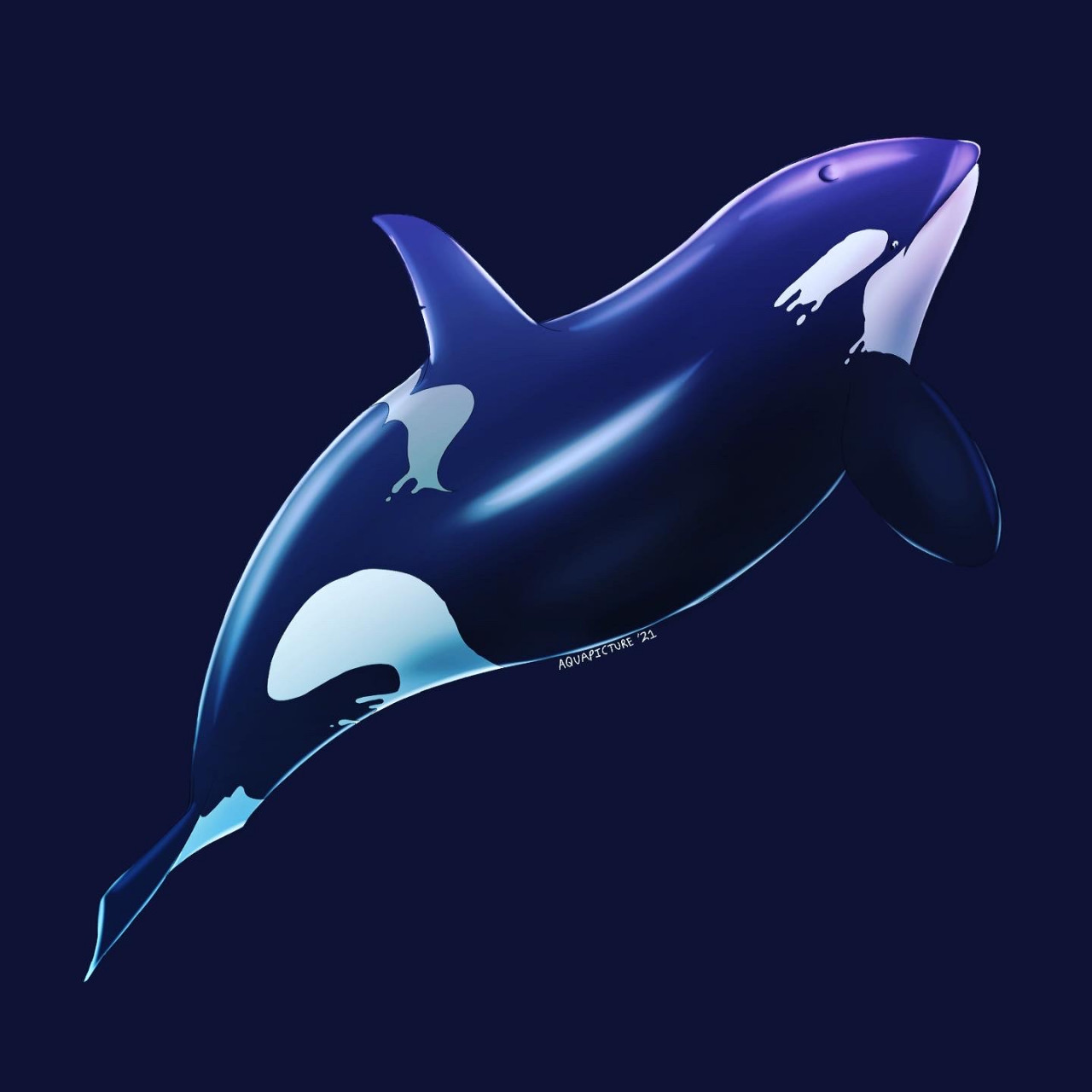 Dolphinproject page 9 full
