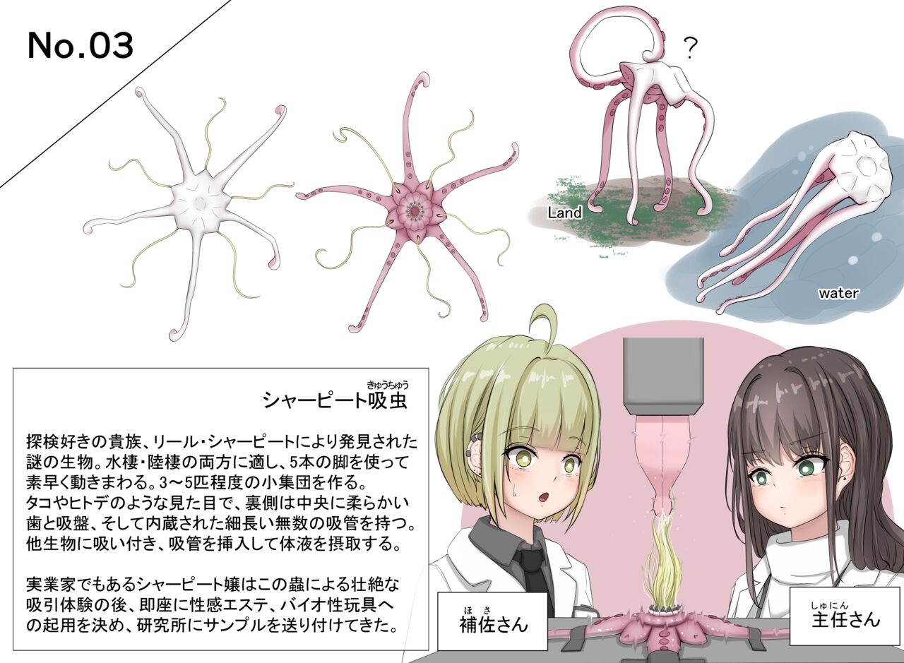 Insect research report No.03 page 1 full