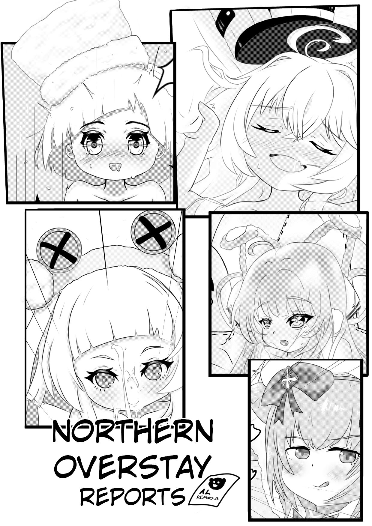 Nothern Overstay Reports page 1 full