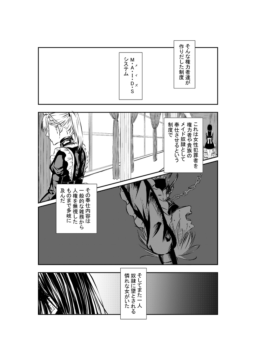 M.A.I.D.S system page 2 full