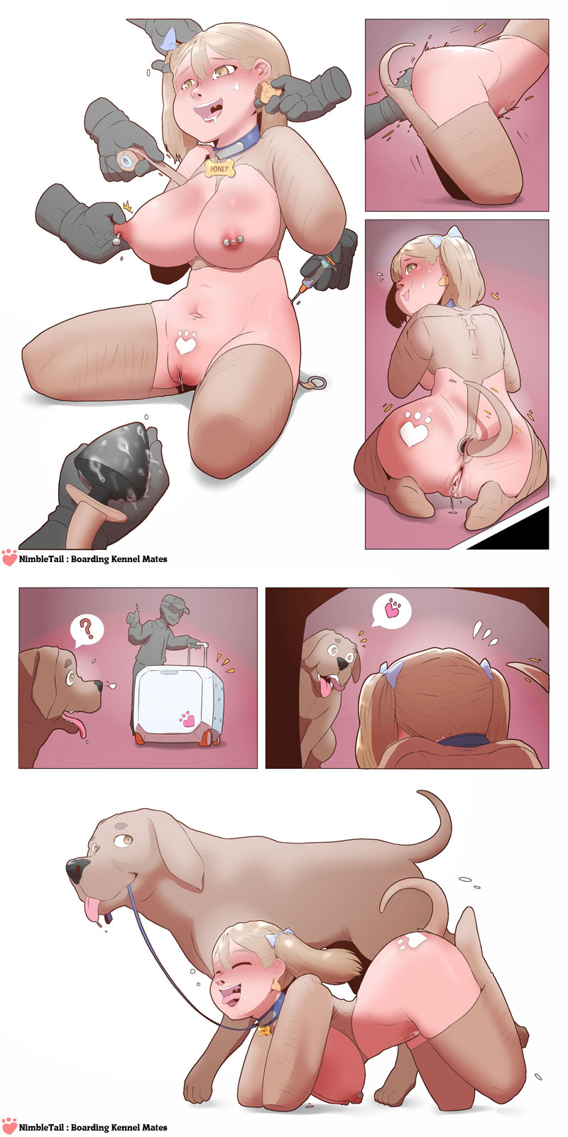 Boarding Kennel Mates page 2 full