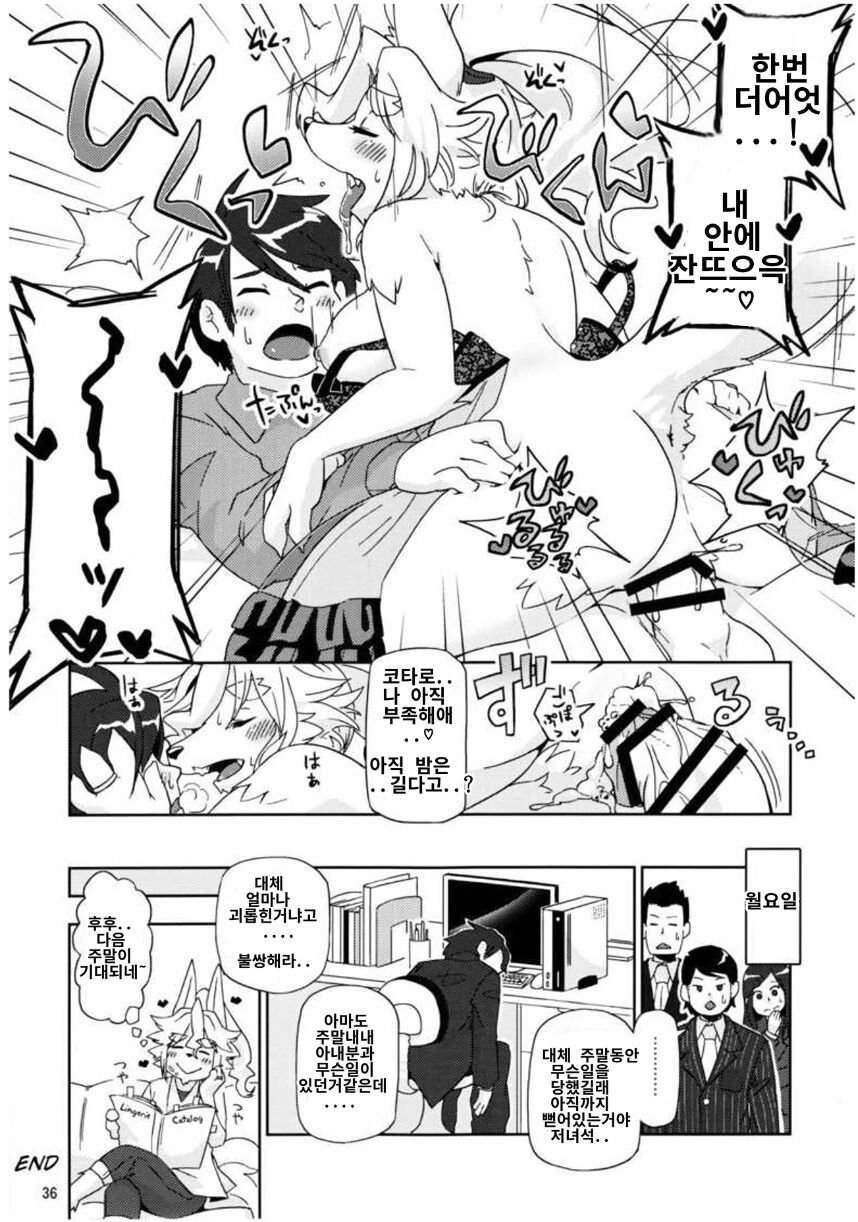 사백년만의 단풍연애 page 10 full