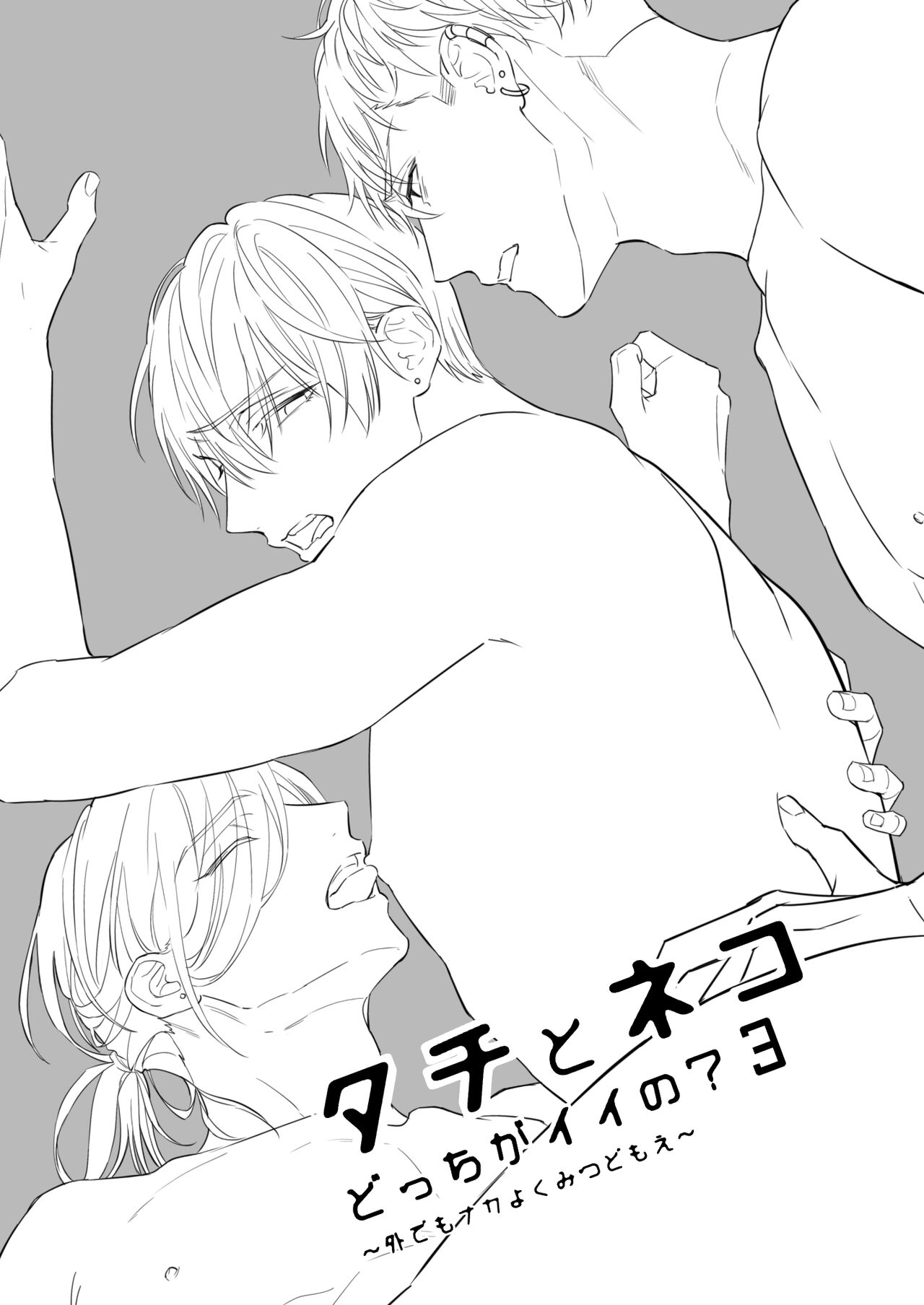 Tachi to Neko Docchi ga Ii no? | Top or Bottom? 3 ~Vacation 3-way Sex~ page 3 full