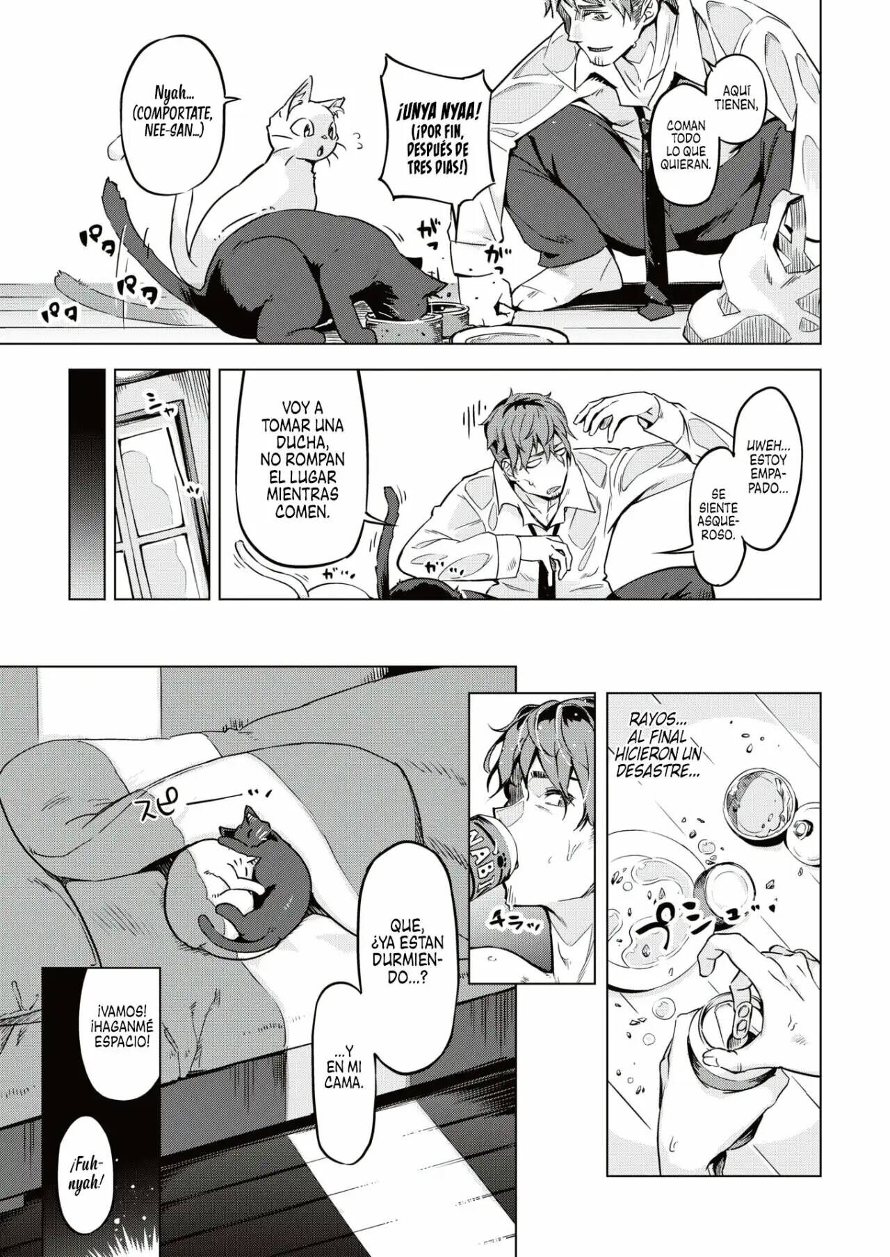 Oshikake Nyanko | Gatitas no invitadas page 5 full