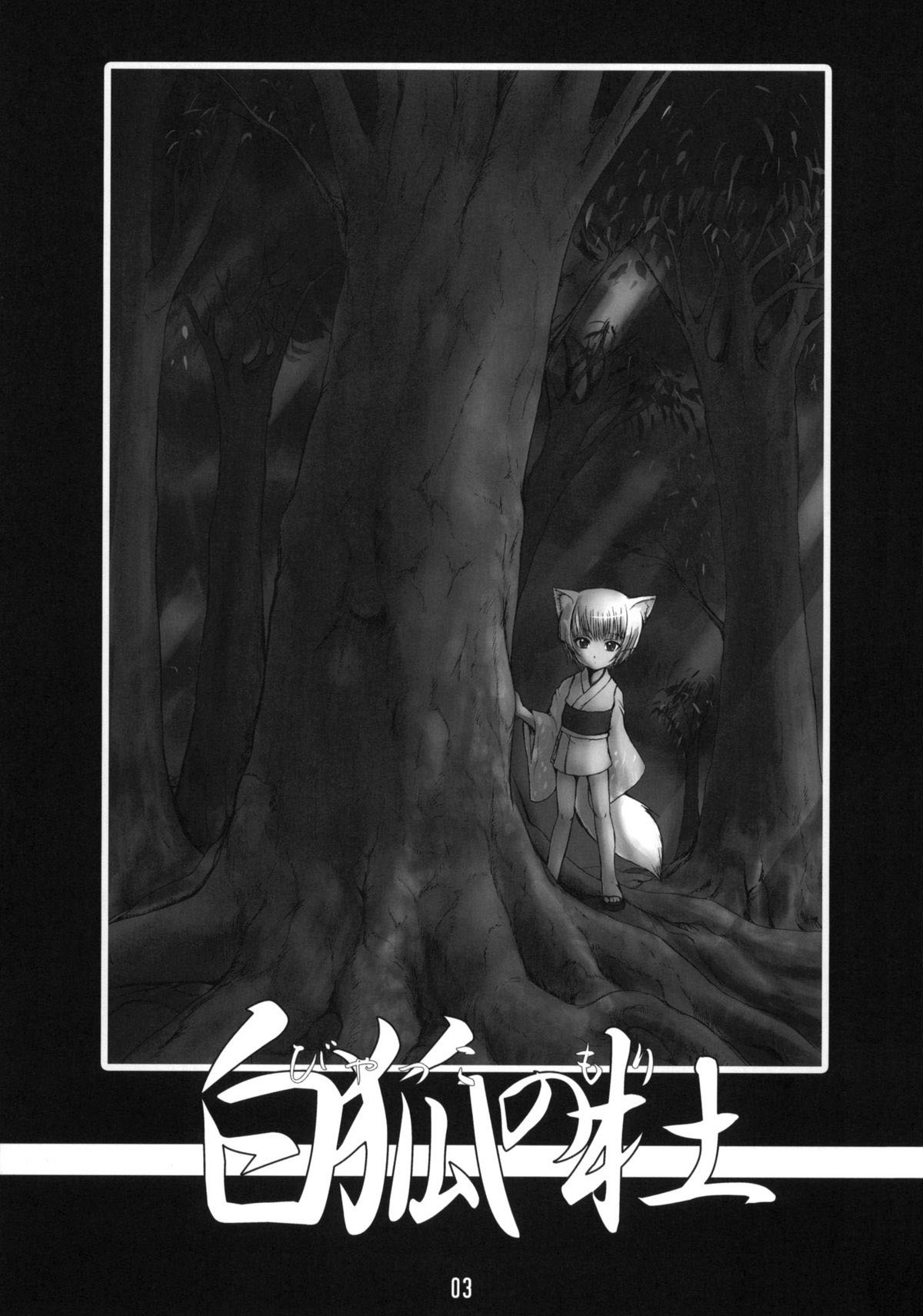 Byakko no Mori page 3 full