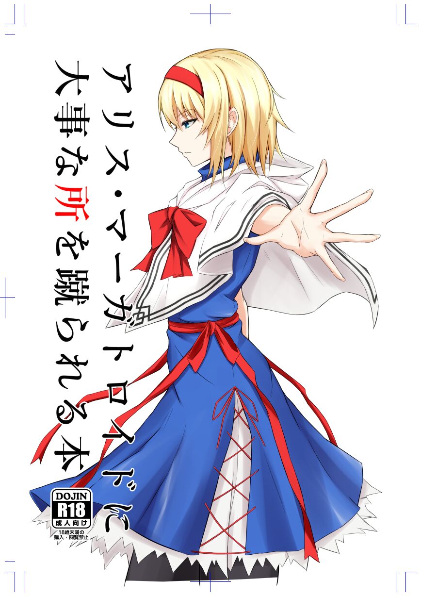 Alice Margatroid ni Daiji na Tokoro o Kerareru Hon | 앨리스에게 중요한 곳을 걷어차이는 책 page 1 full
