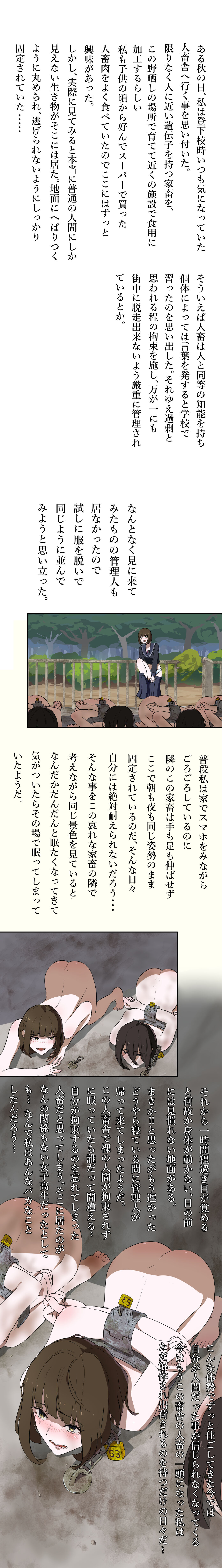 fest page 3 full