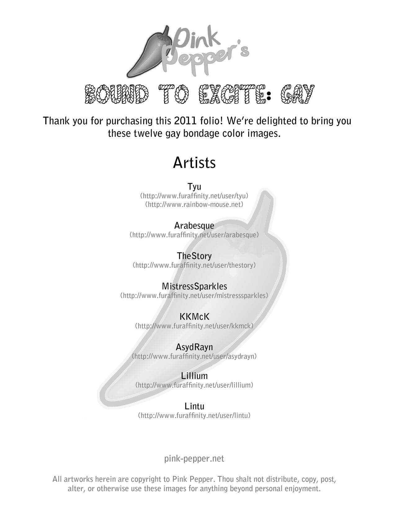 Bound to Excite: Gay page 2 full