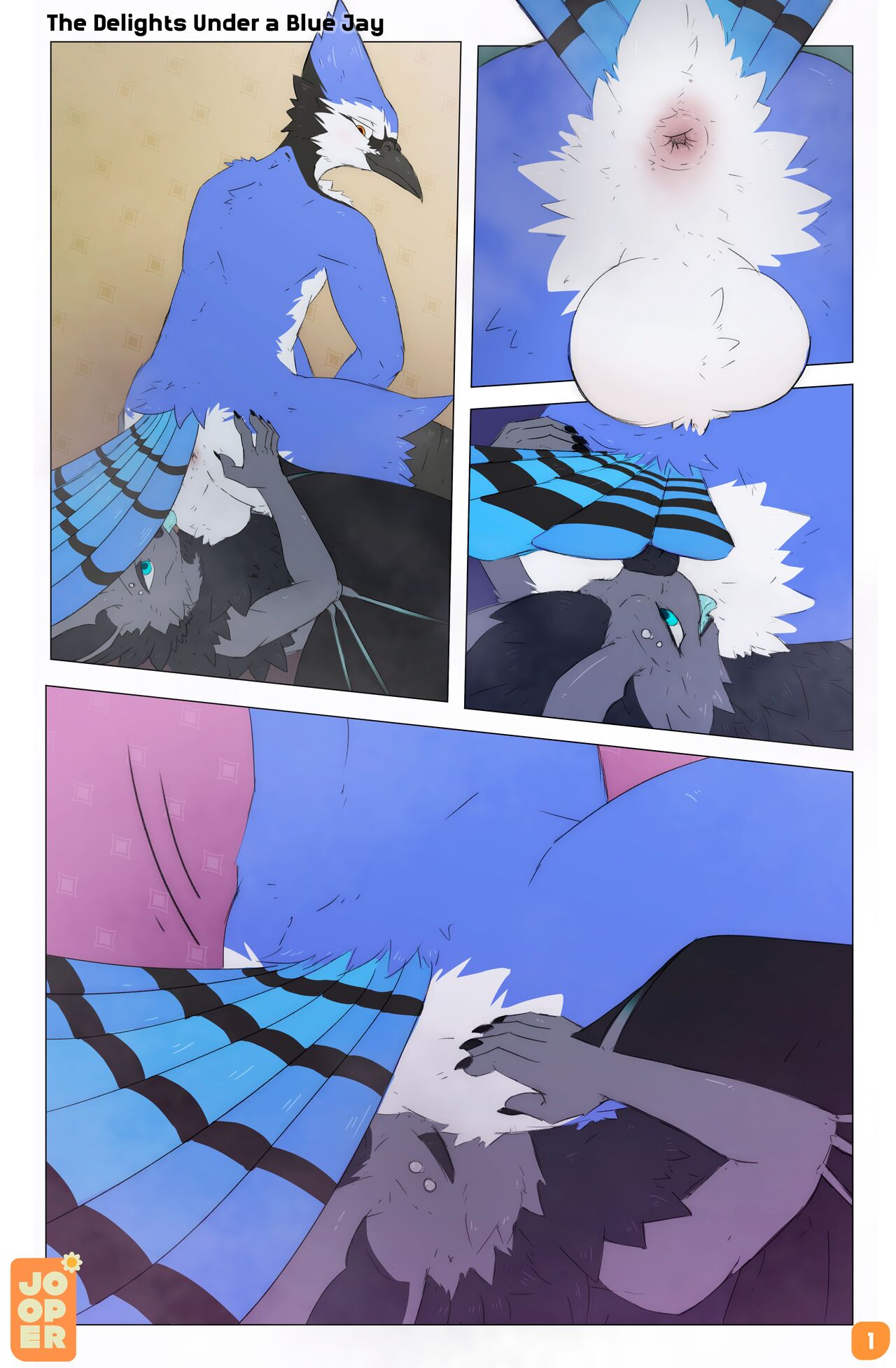 The Delights Under A Blue Jay page 1 full