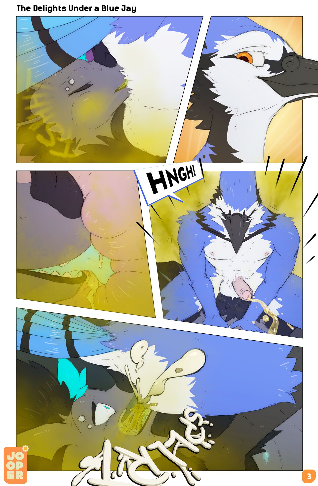 The Delights Under A Blue Jay page 3 full