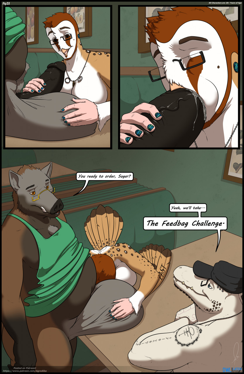 Feedbag Challenge page 3 full