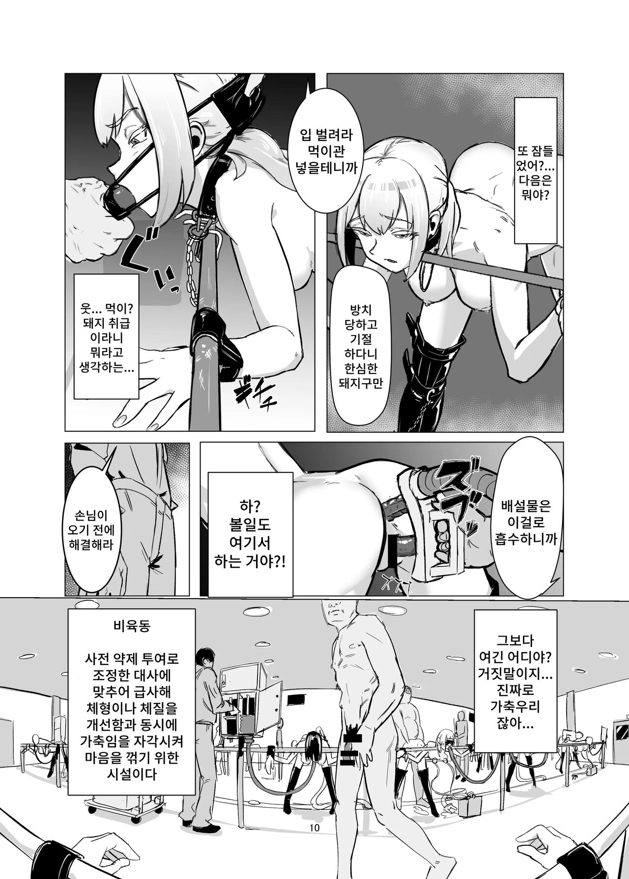 JK o Mazomesu Choukyou shite Shukka suru! | JK를 마조 암컷 조교해서 출하한다! page 10 full