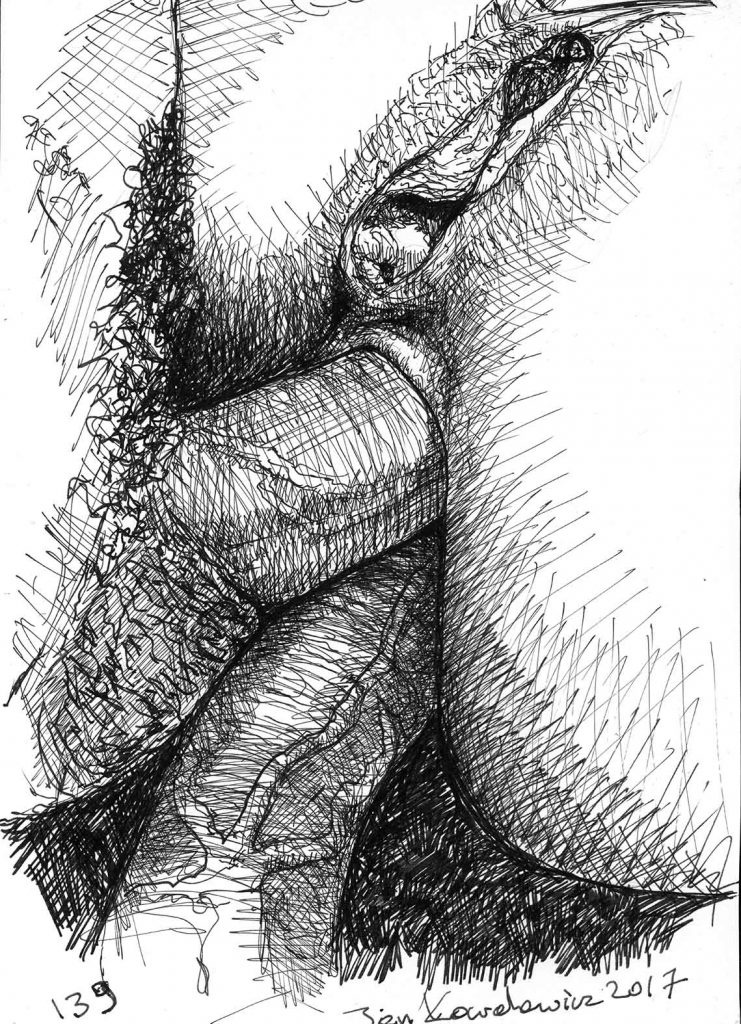 Artist - Jan Kowalewicz / JanDraws page 1 full