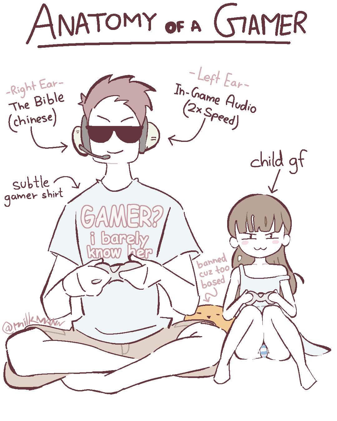 - Anatomy of a Gamer Meme page 2 full