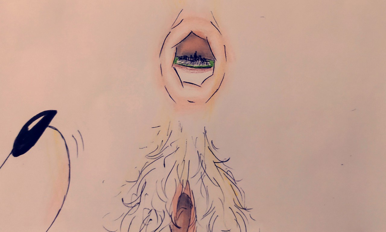 Guinea Pigs page 9 full