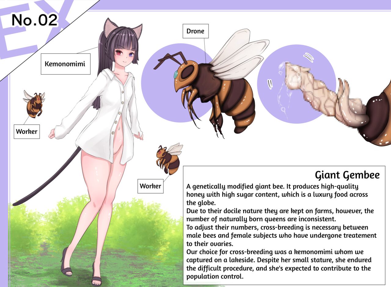 Insect Research Report EX_No.02 page 1 full