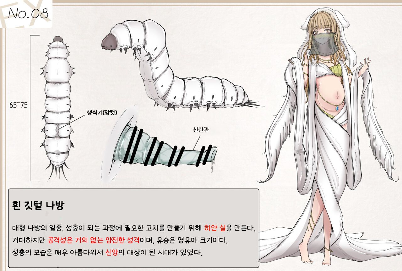 Mushi Research Report EX No.08 page 1 full