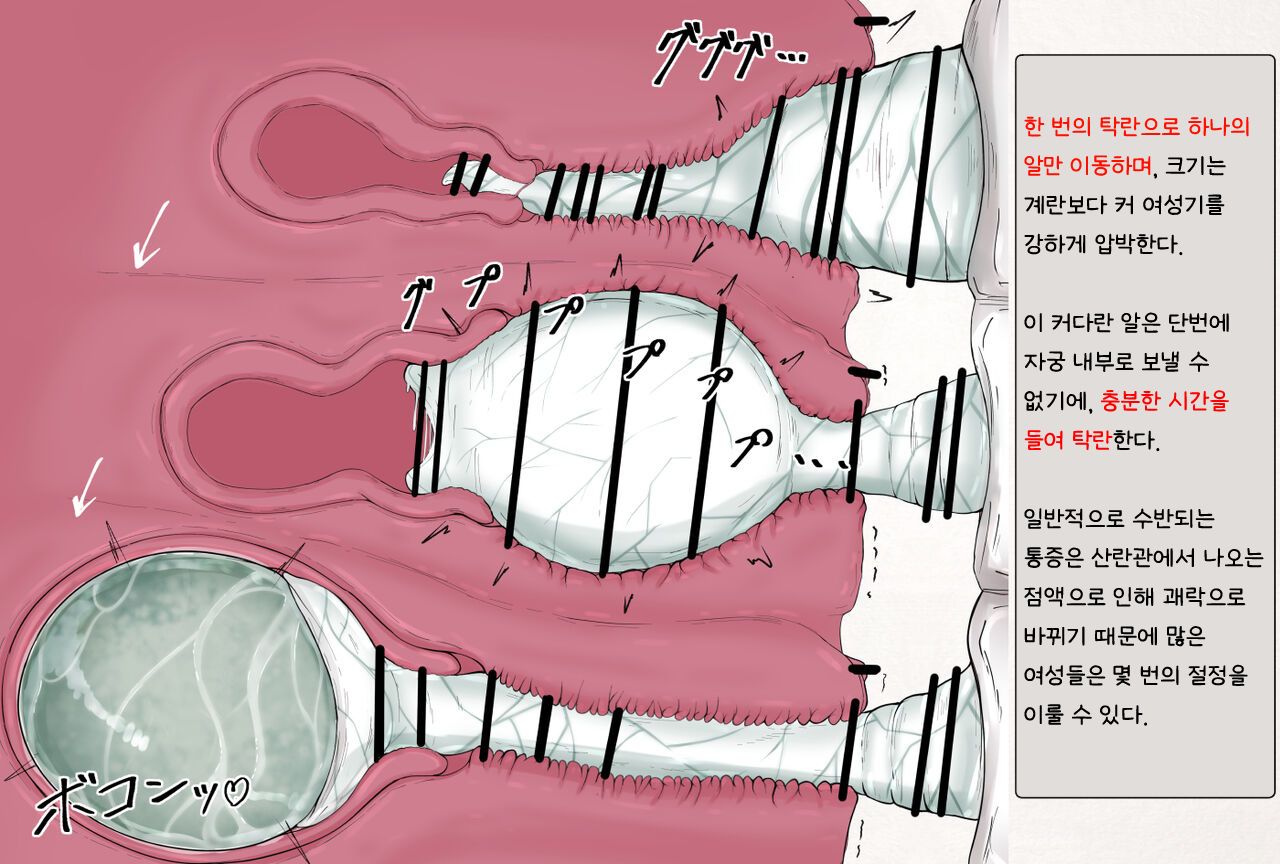 Mushi Research Report EX No.08 page 4 full