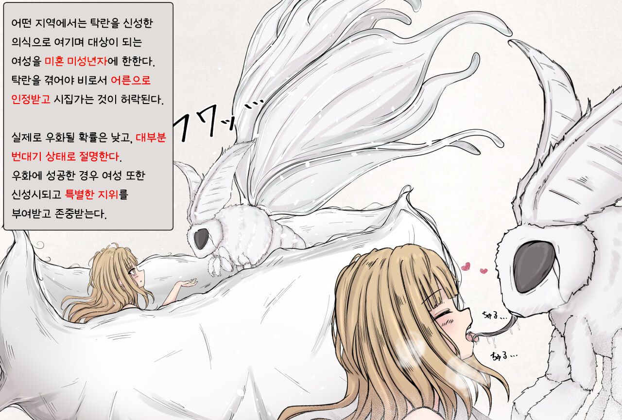 Mushi Research Report EX No.08 page 6 full