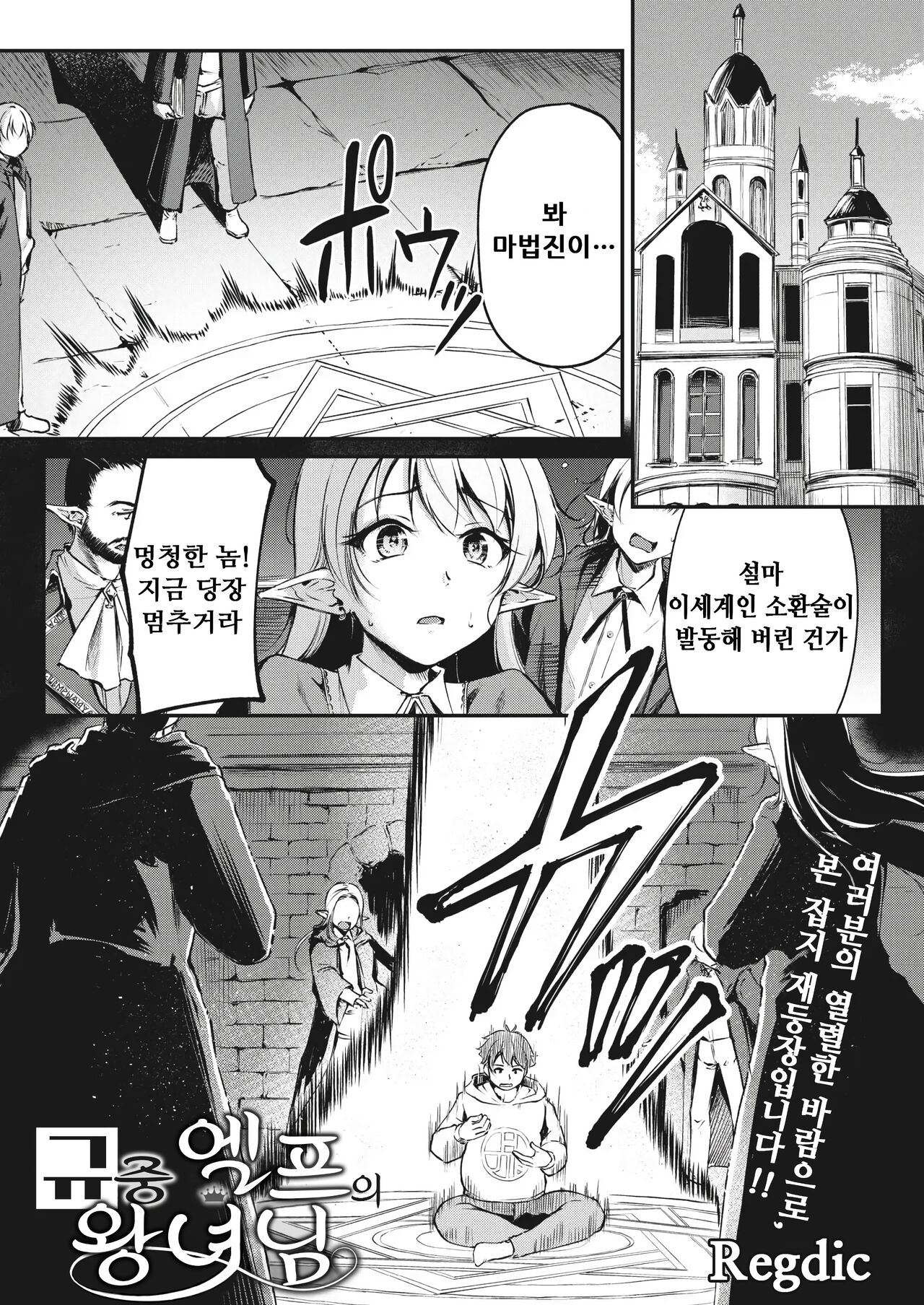 Hakoiri Elf no Oujo-sama | 규중 엘프의 왕녀님 page 1 full