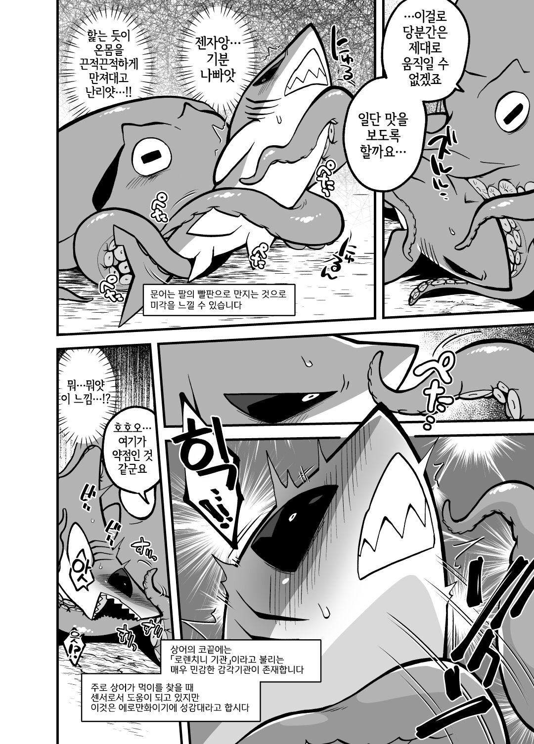 Umi no Ikimono Zukan | 바다의 생물 도간 page 7 full