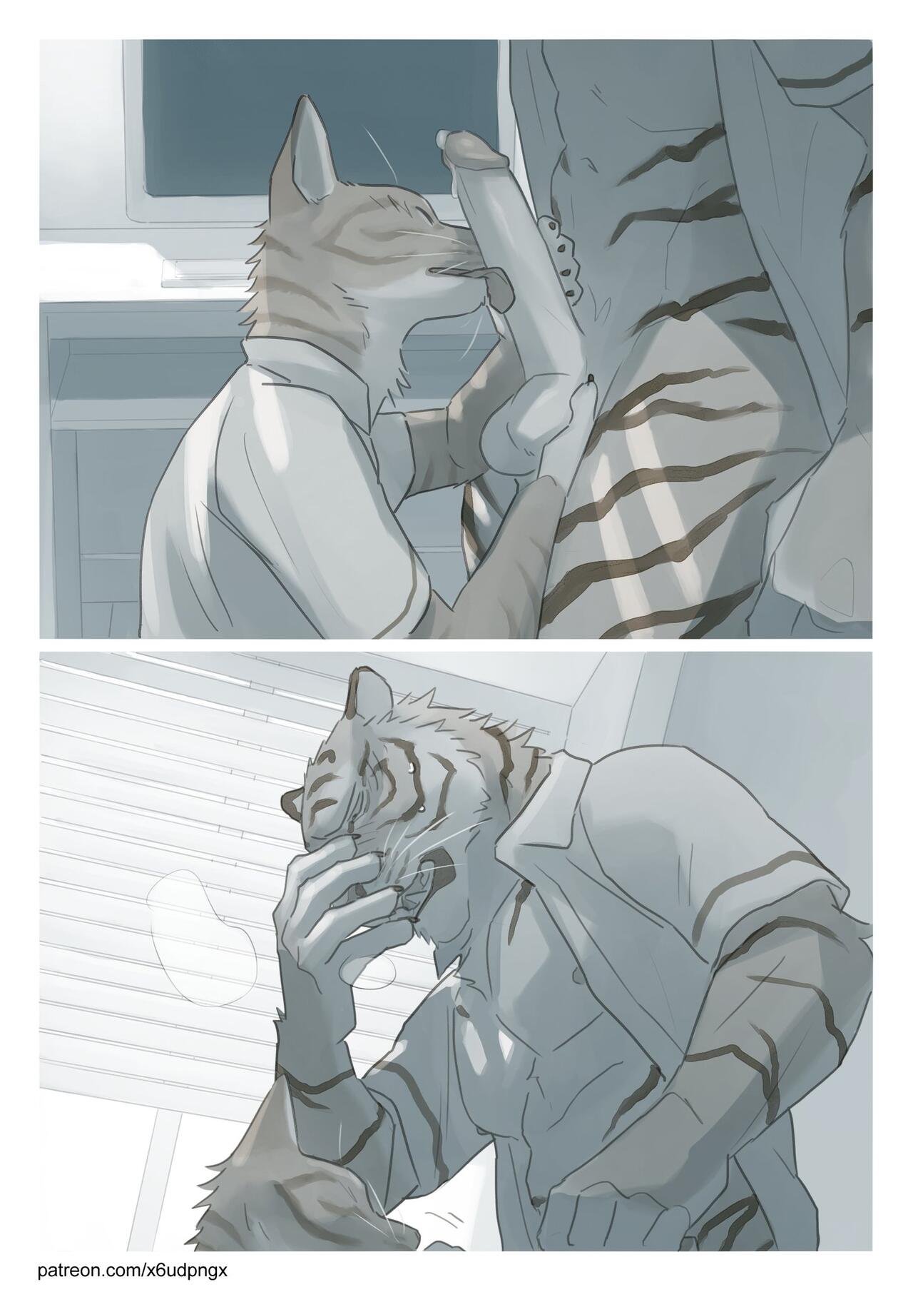 Cat and Tiger page 6 full